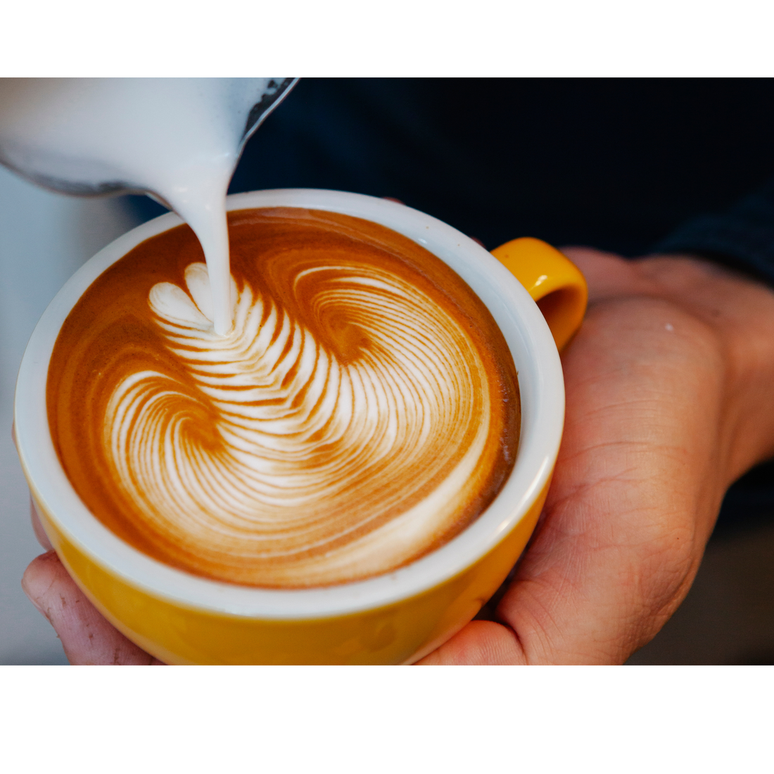 Explaining the processes of steaming milk to craft the perfect espresso-based drinks